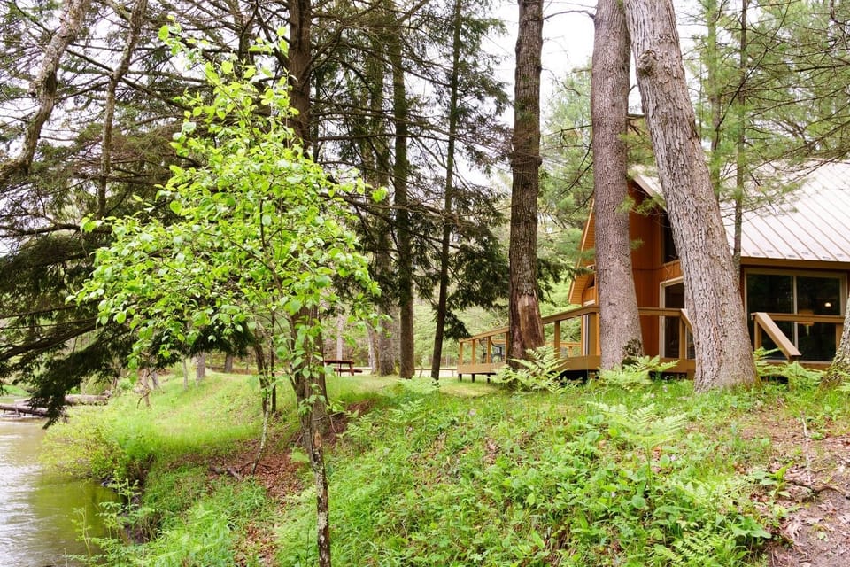 Cannon River Ranch: Cabin 2