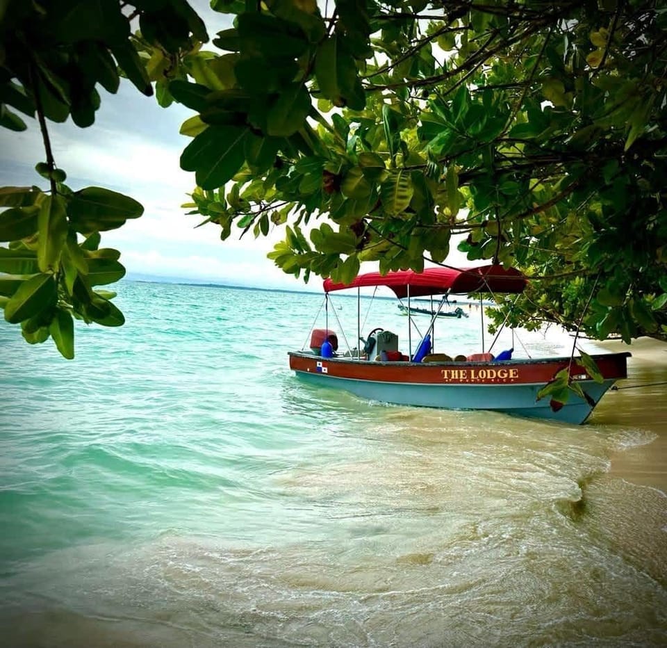 Our boat meets you in Bocas Town and carries you across clear water to the lodge's dock. Your trip starts the moment you step aboard.