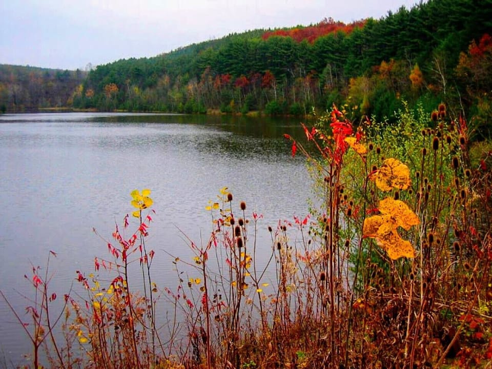 Beautiful Fall Colours and Lakes Minutes Away