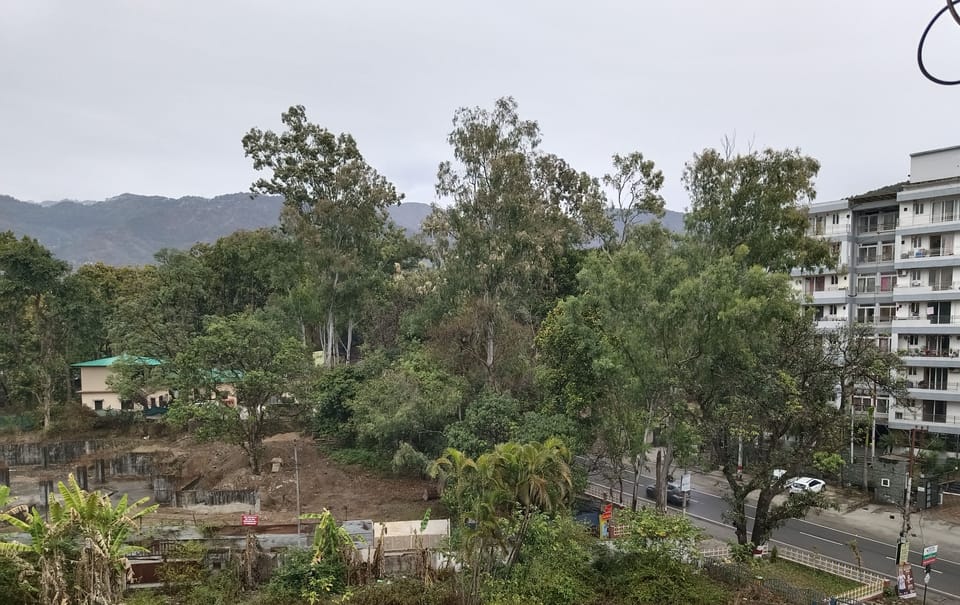 View from property