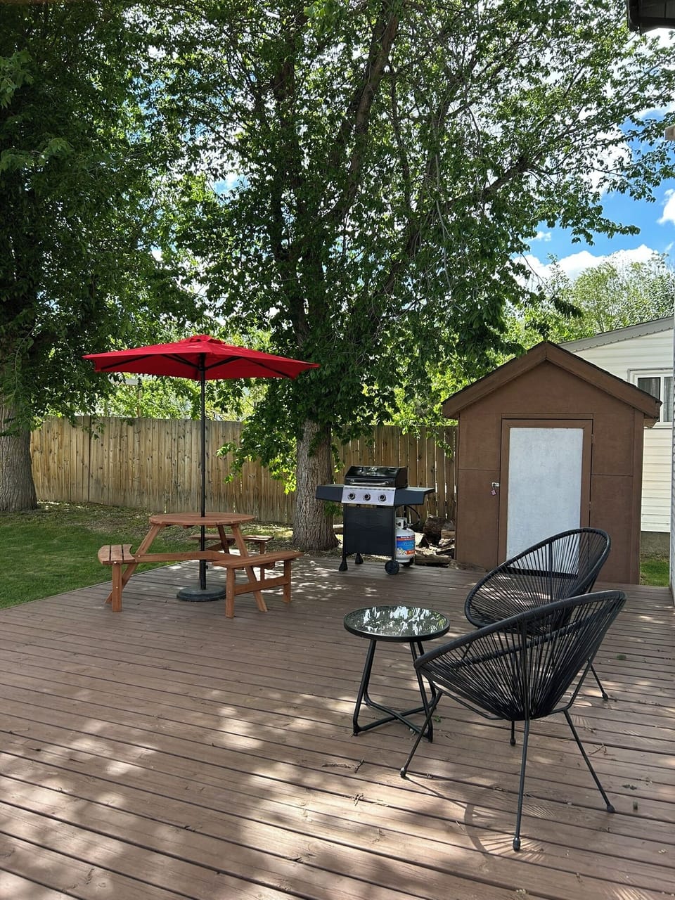 Backyard