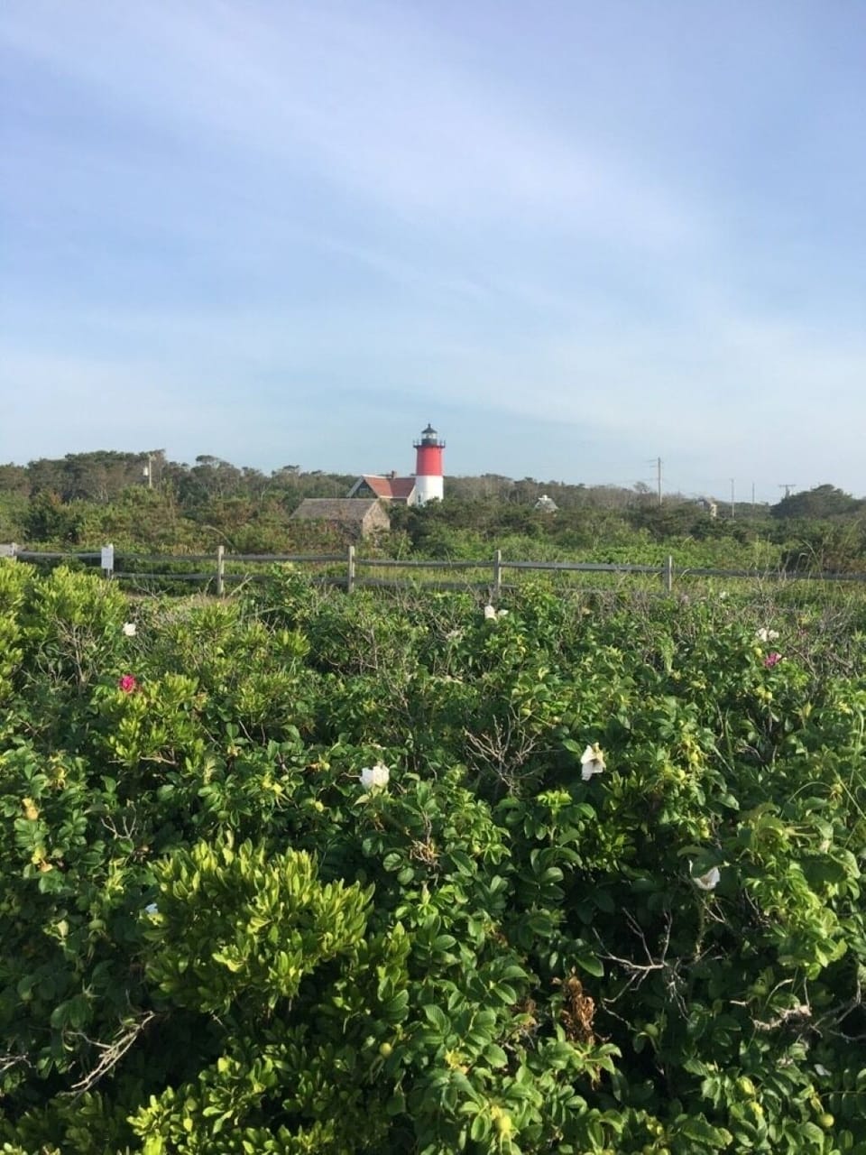 Nauset Light 