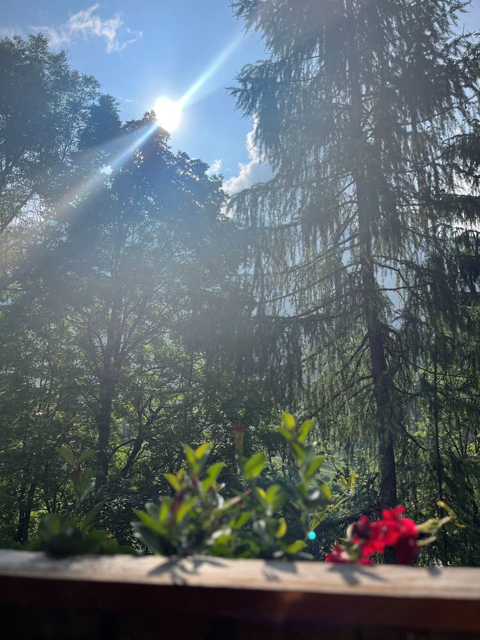 View from property