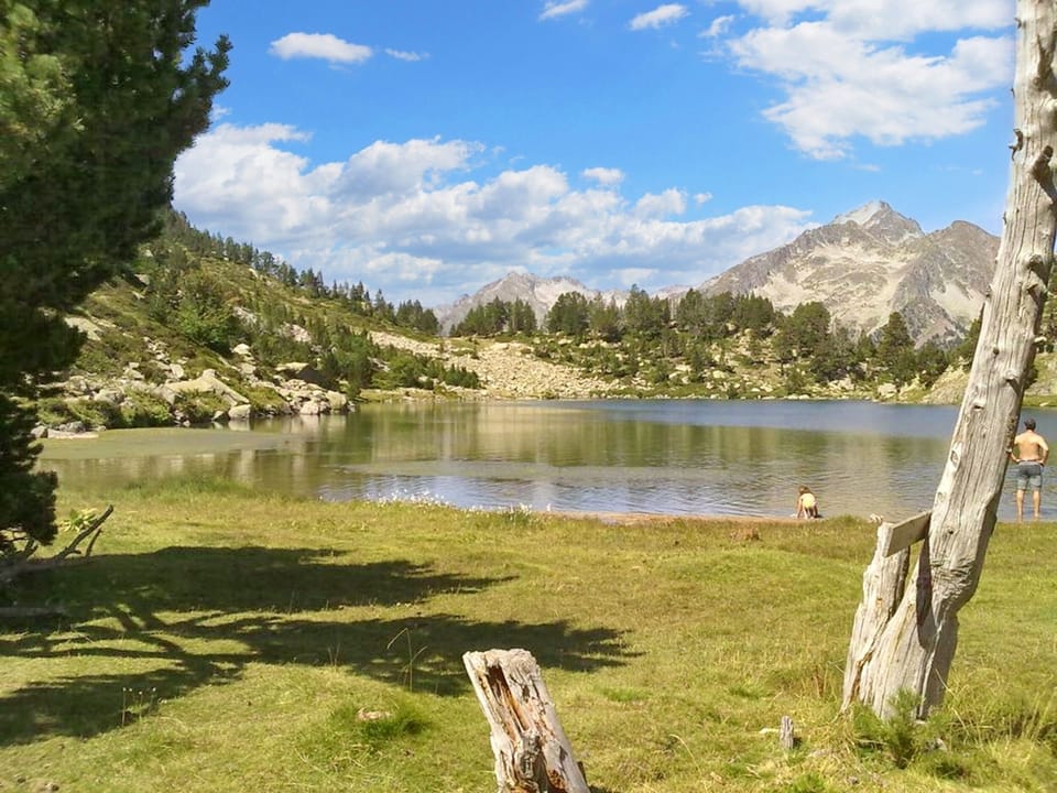 Lake view