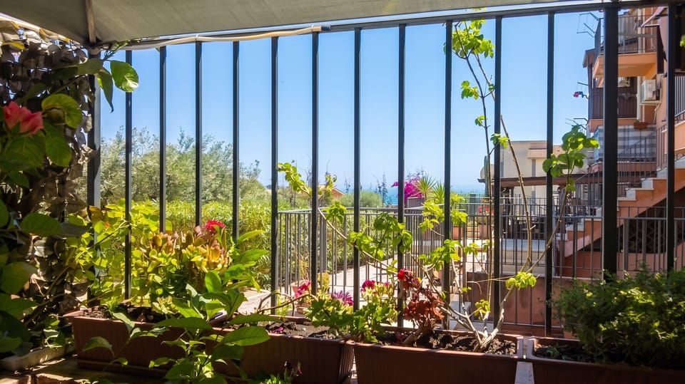 Garden view