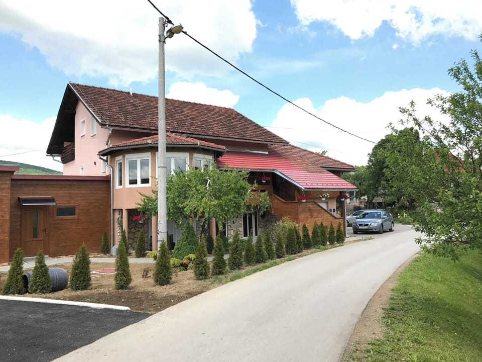 Front view