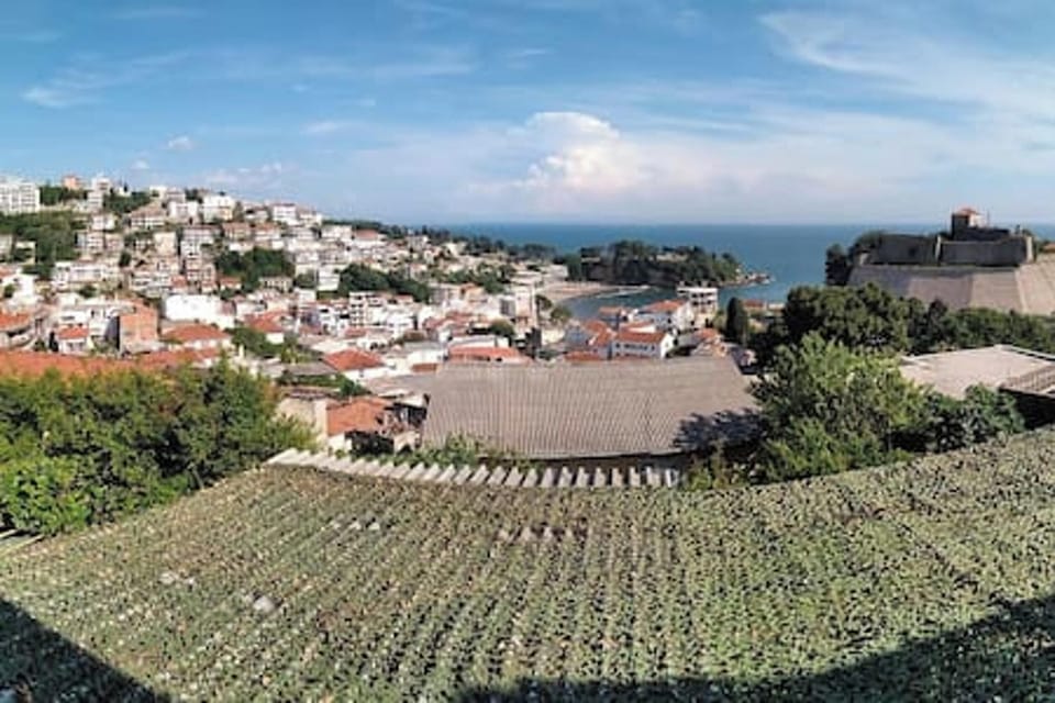 Areal view