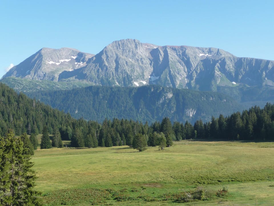 Mountain view