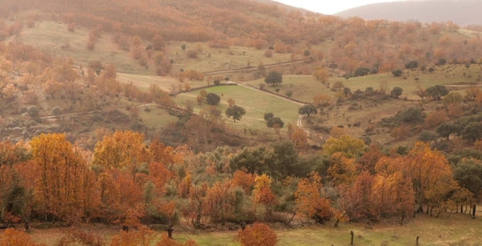 Mountain view