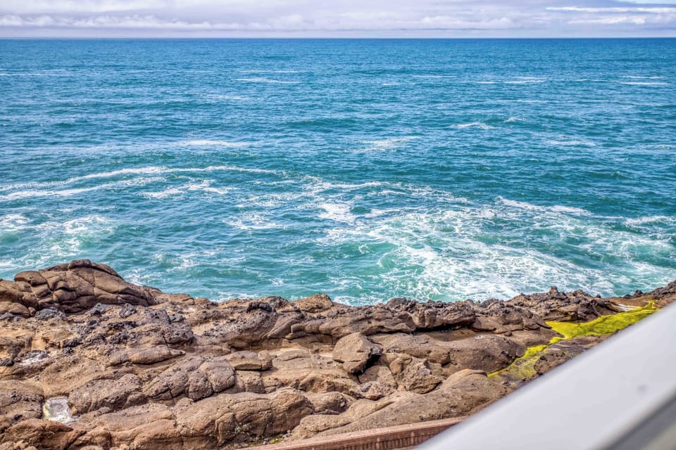 Whale Watcher's Getaway -113