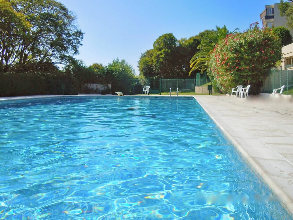 Swimming pool view