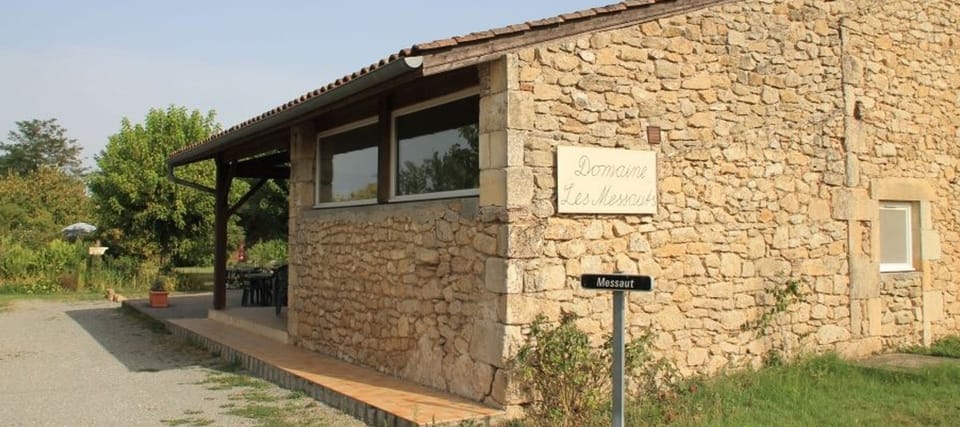 Back view