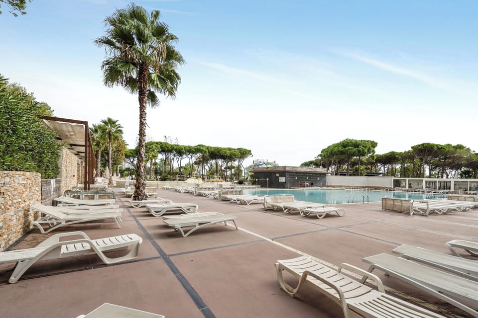 Swimming pool view