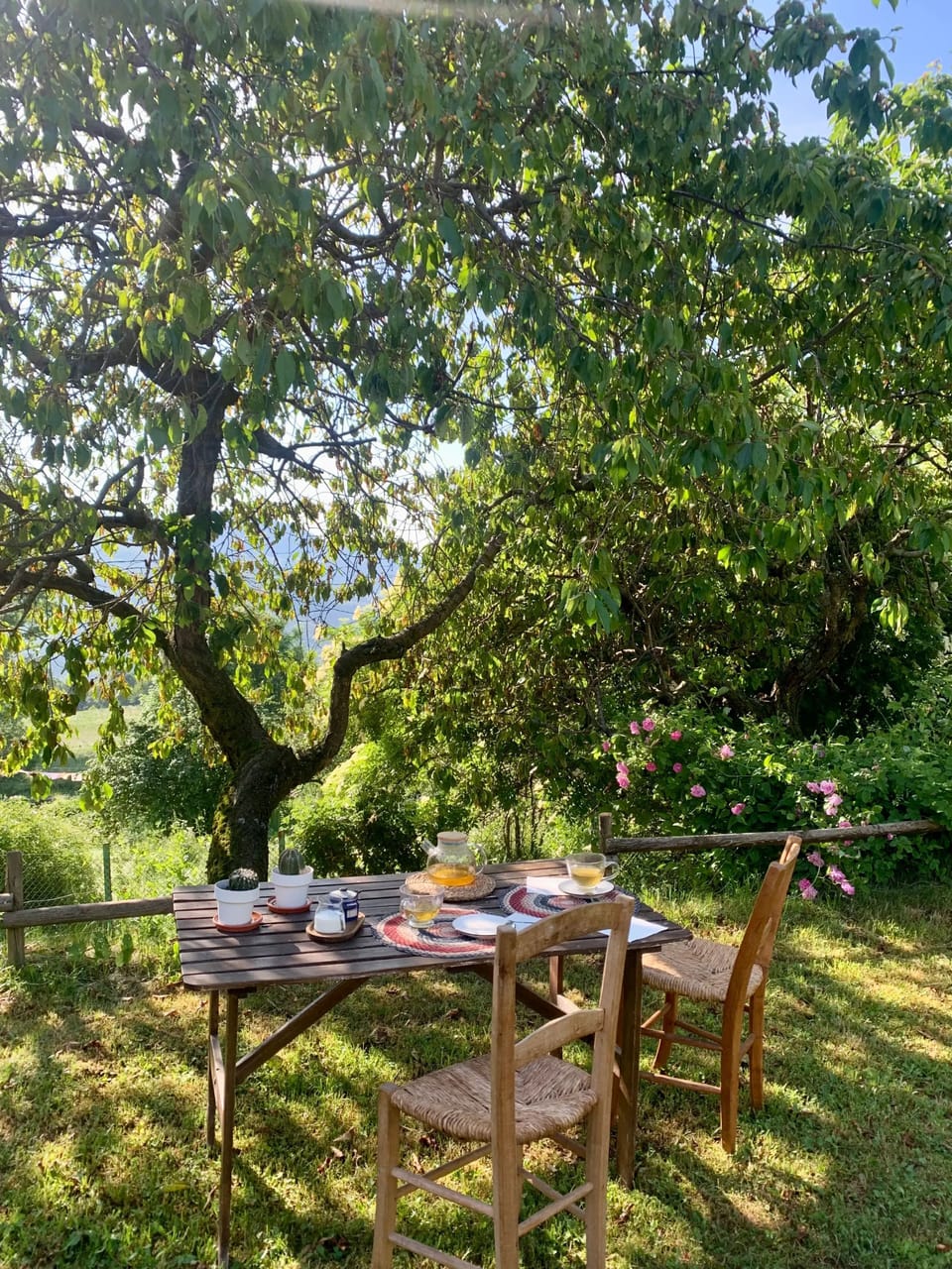 Garden