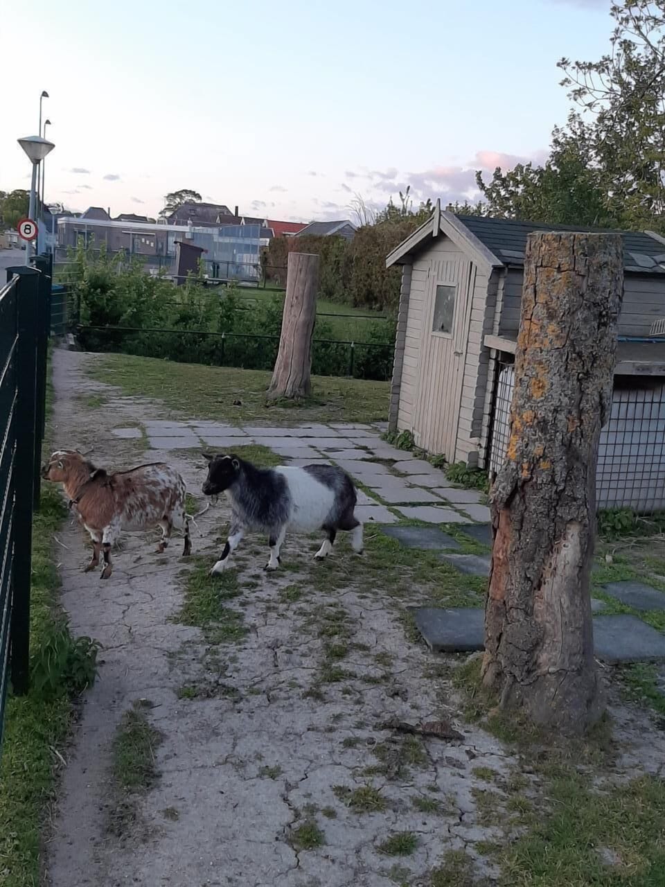 Property grounds