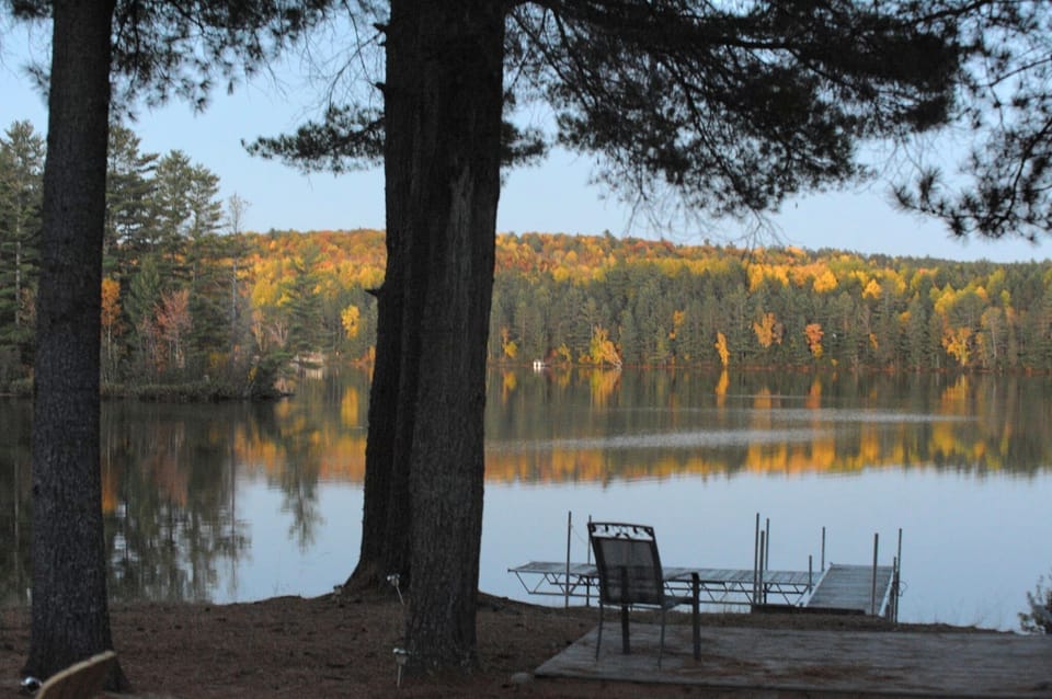 Fall view