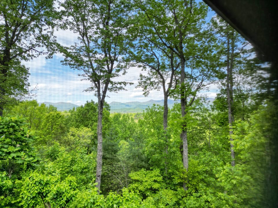 View from property