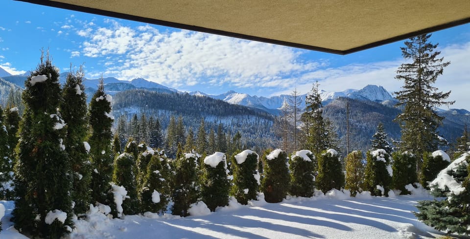 Enjoy the view from the terrace