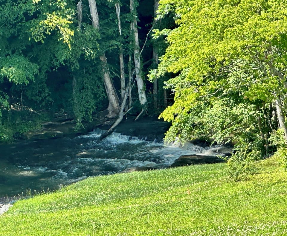 Waterfall on Back Side of Property 