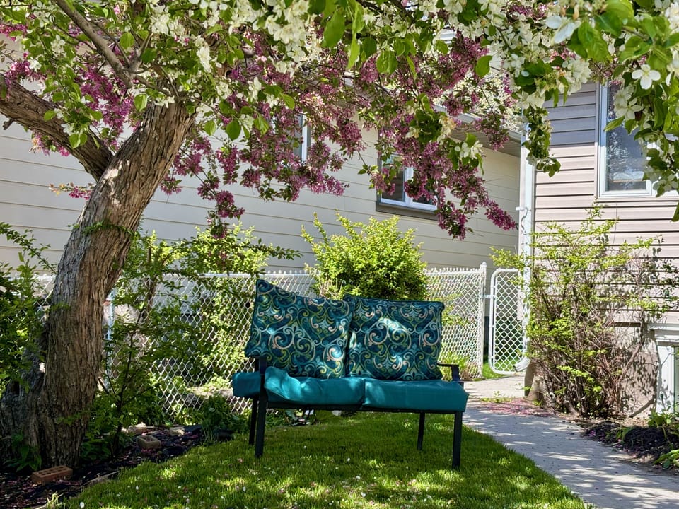 Rear garden shared