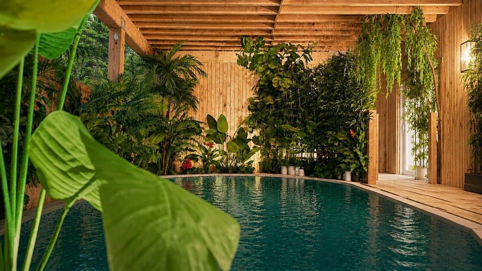 Covered pergola pool area with wood beams, hanging vines & garden entry