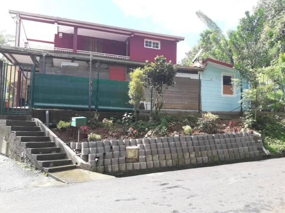 Front view