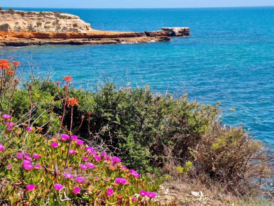 Sea view