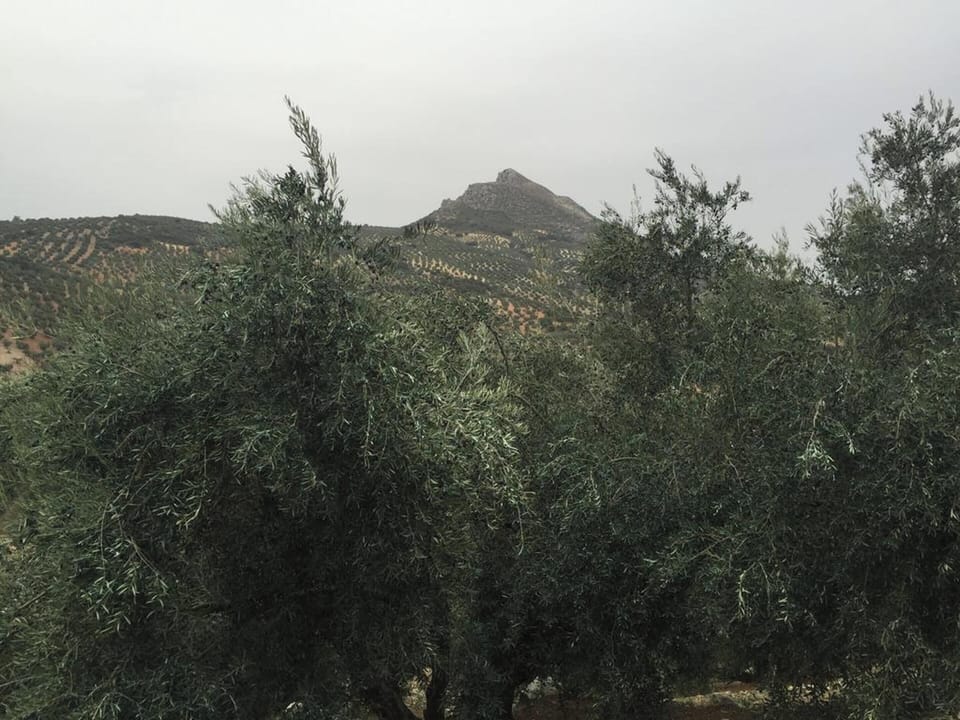 Surroundings
