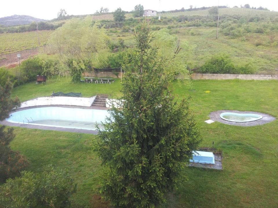 Swimming pool view