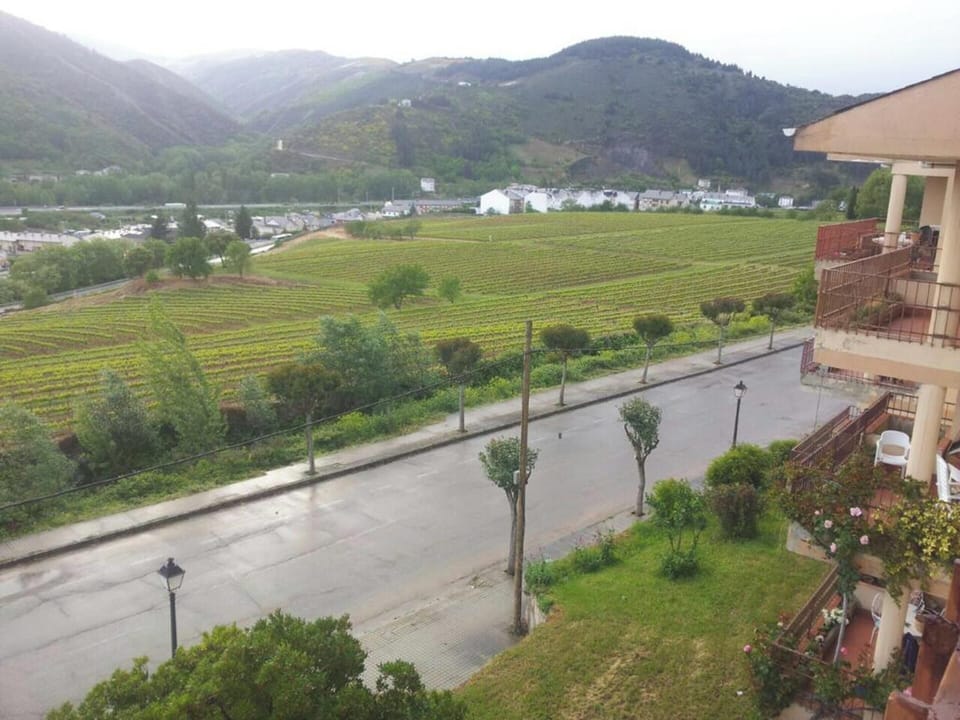 Areal view