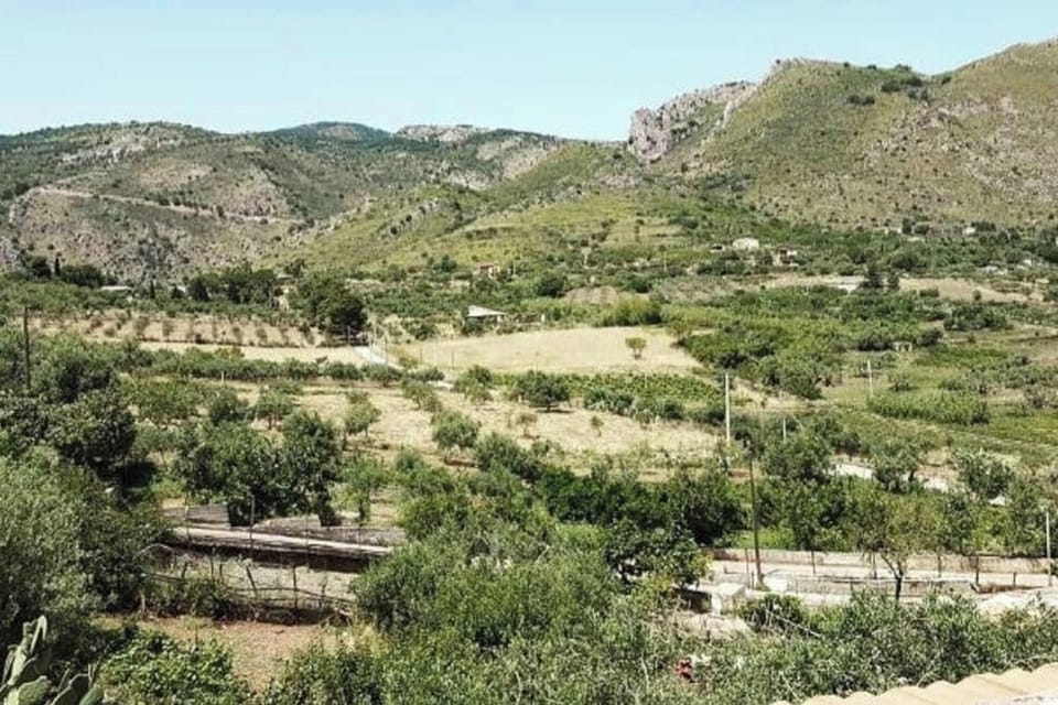 Areal view