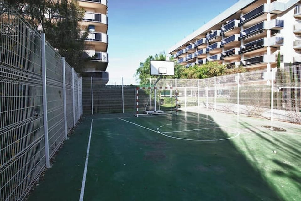Field (volley/tennis)