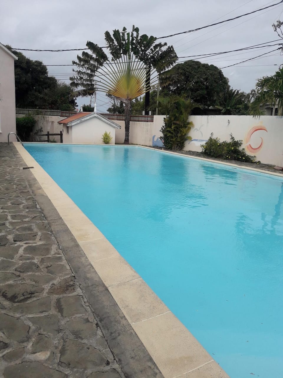 Swimming pool view