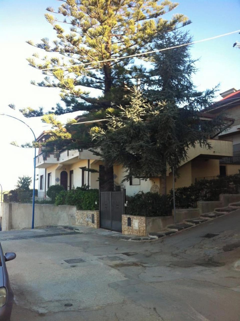 Back view