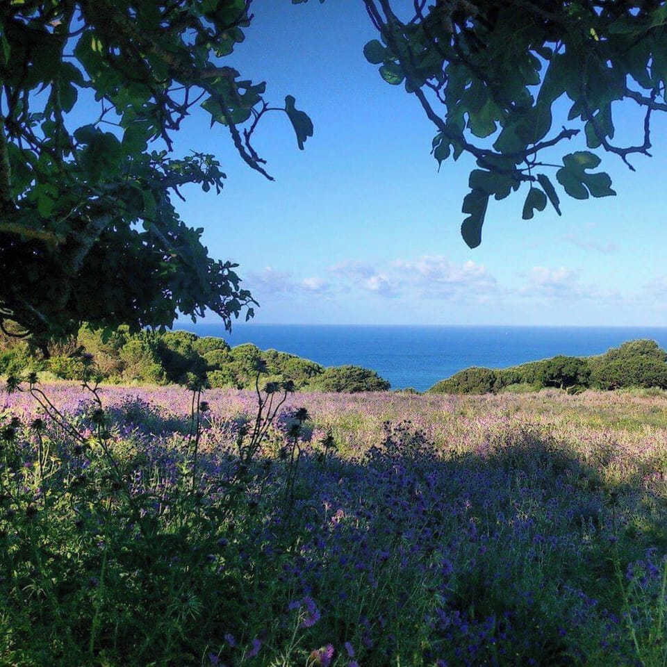Sea view