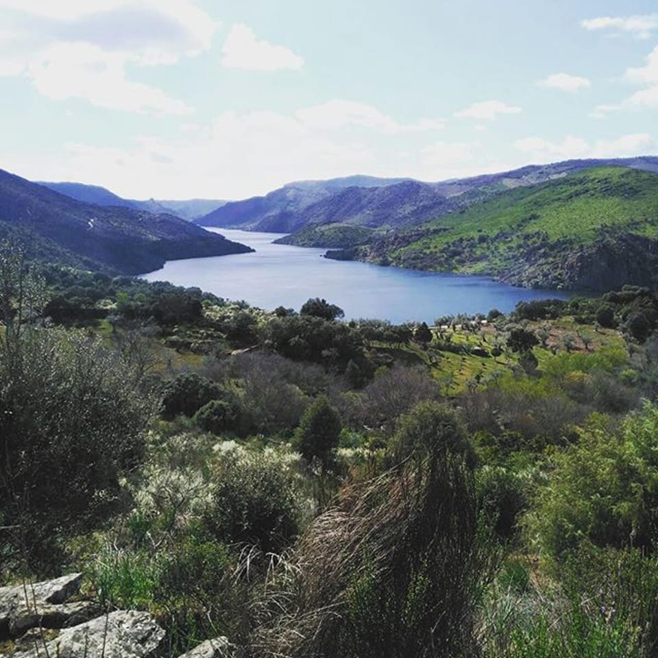 Mountain view