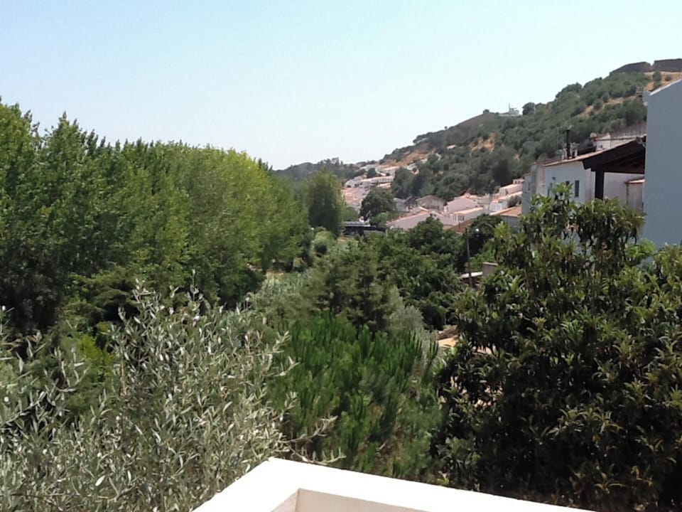 Areal view