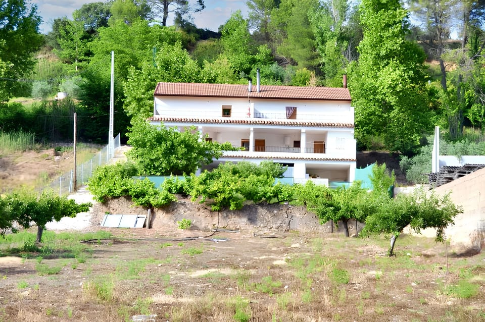 Back view