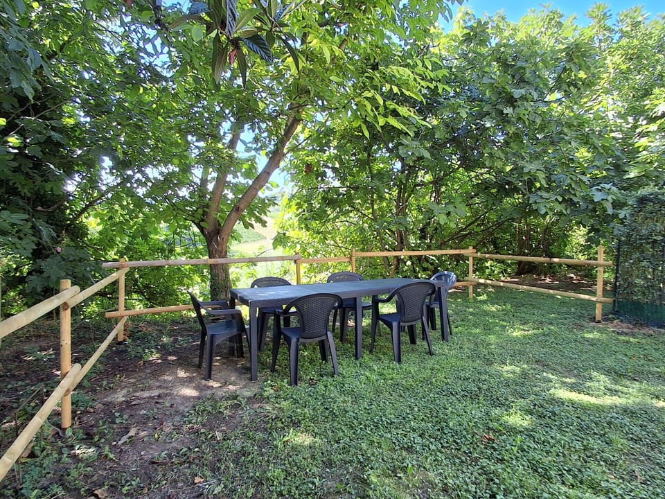 Garden, Spring, Shade, Backyard, Lawn, Park, Fence, Yard, Landscaping, Woodland