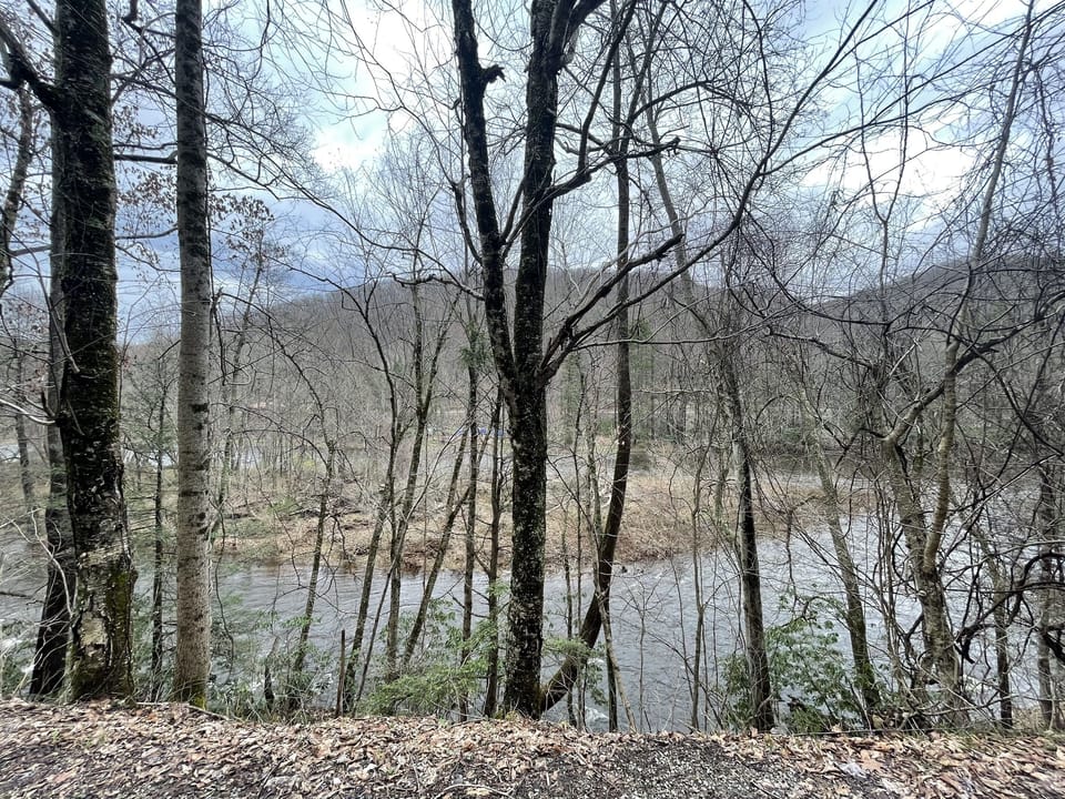 River view from House Fall/winter.jpg