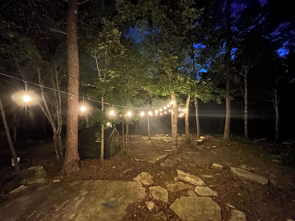 Listen to the sounds of nature at night