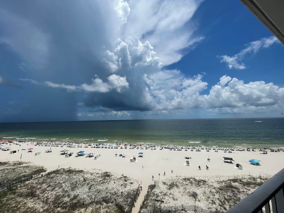 Gorgeous Gulf Shores