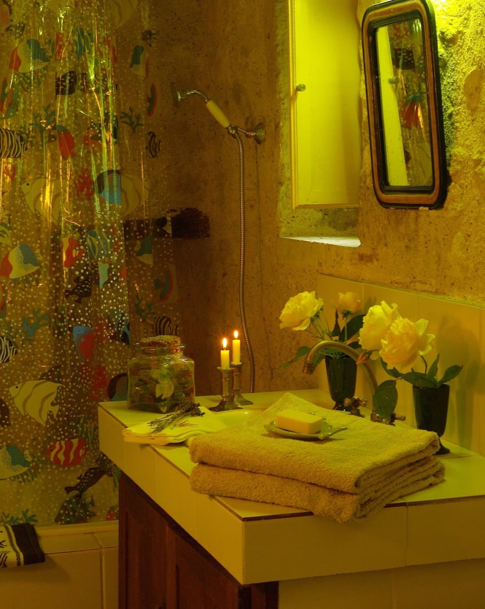 Bathroom with shower and inviting bathtub, "bathe in antiquity"!