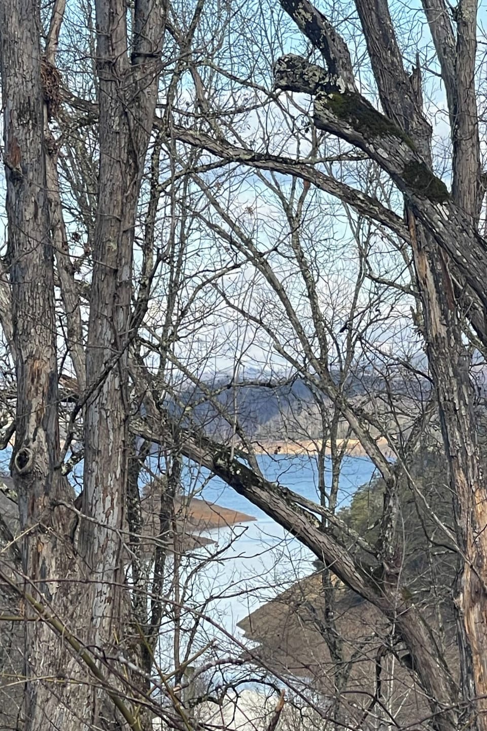 Peaceful lake views glimpsed through bare winter trees create a serene backdrop for your getaway.