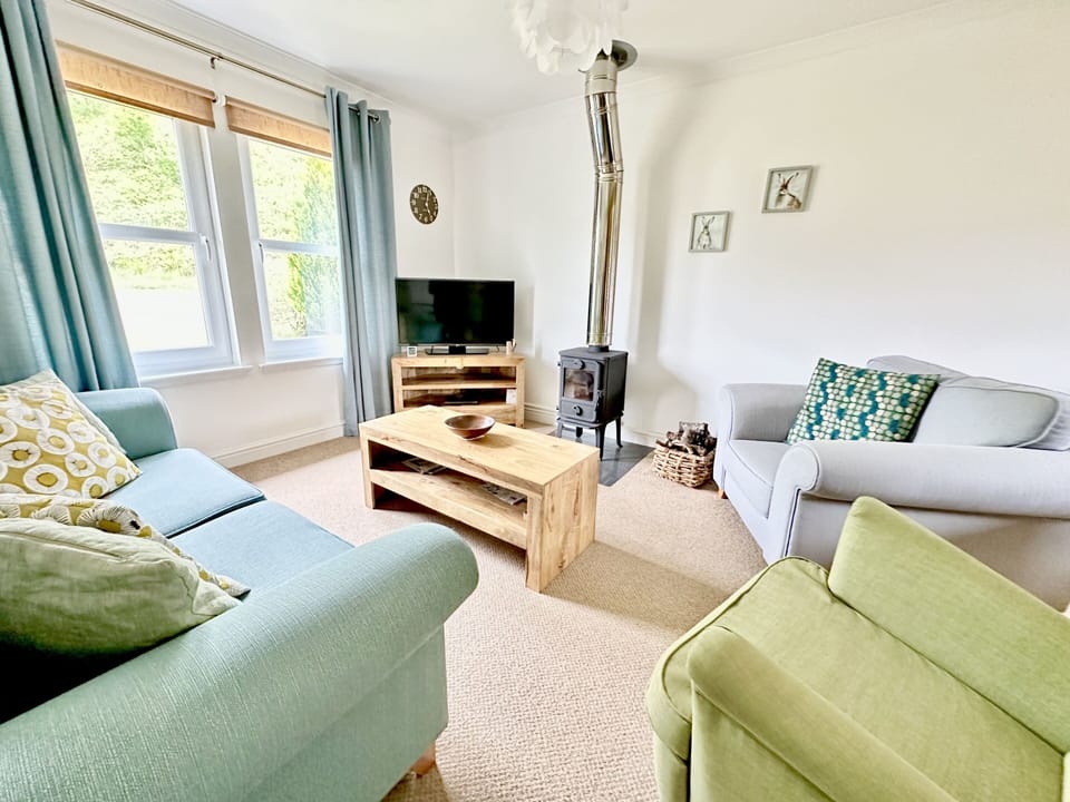 Living room with wood burner