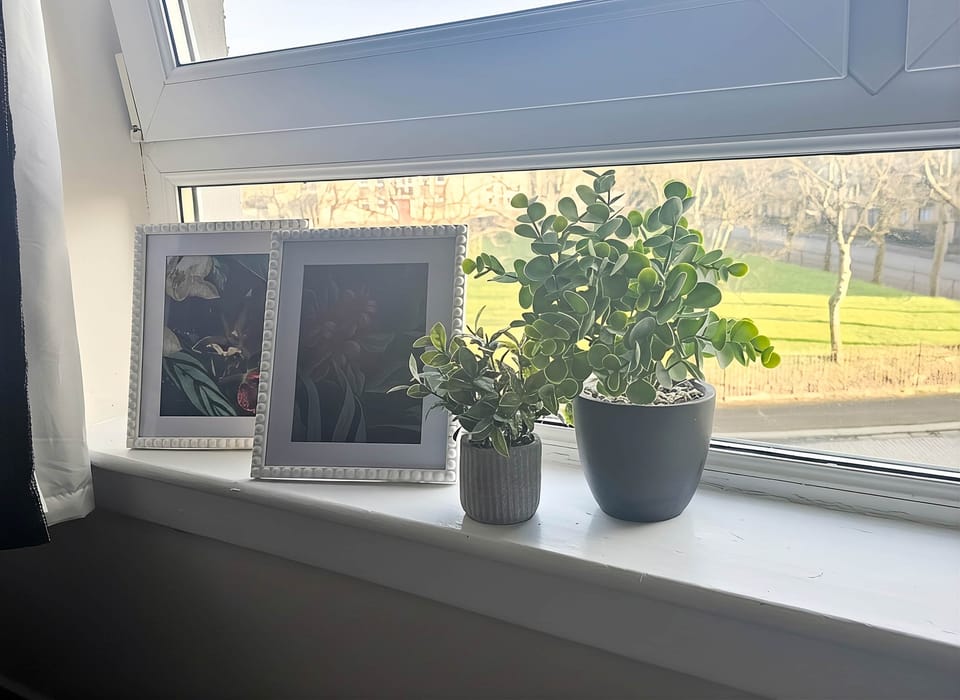 Lounge Window