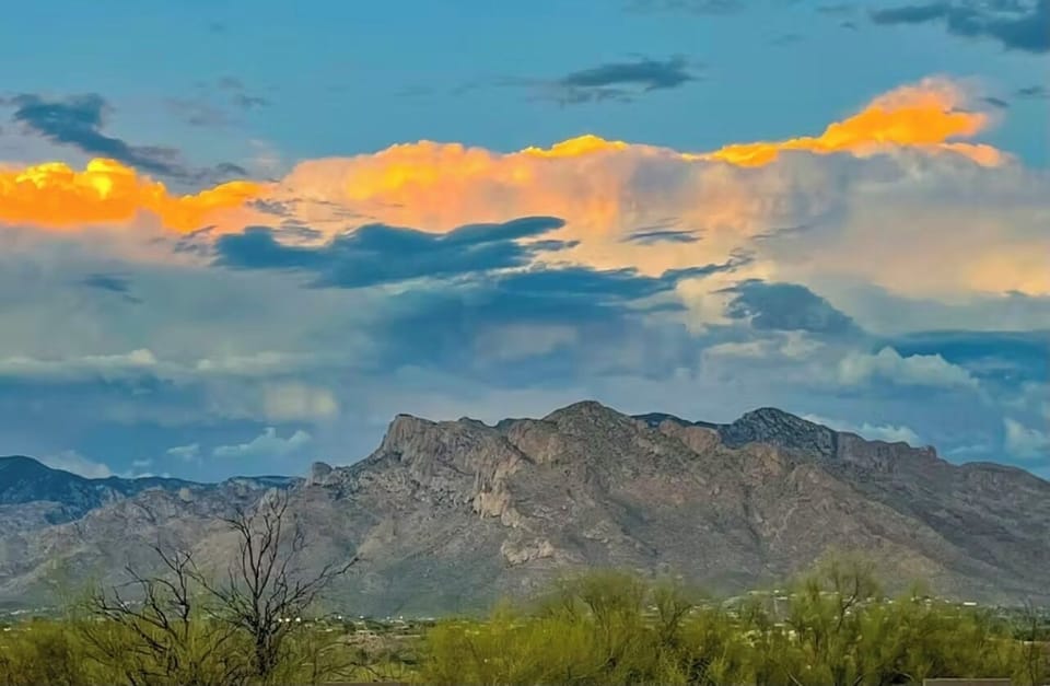 Evening- from the deck