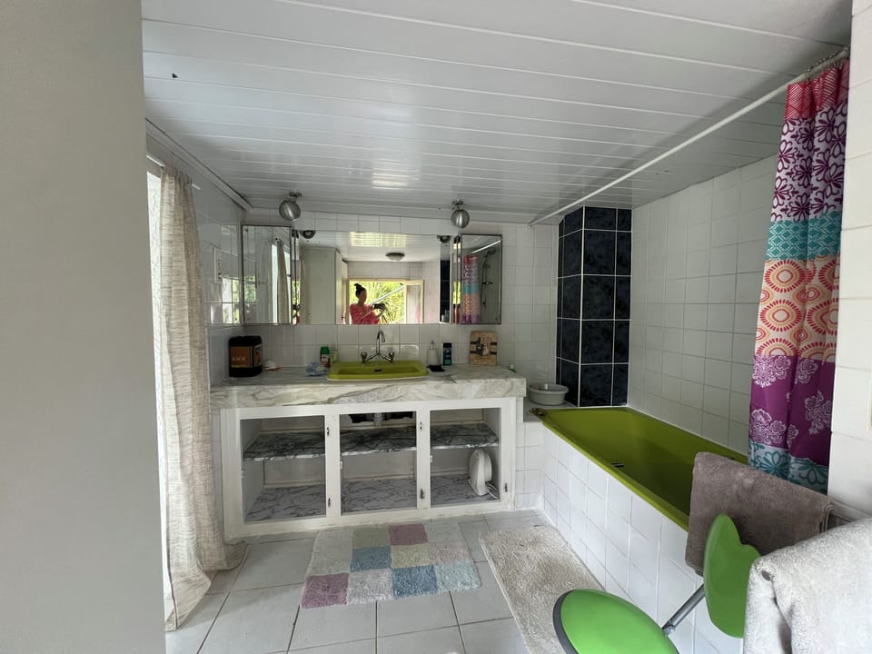 master bedroom open access en suite bath / shower /WC
