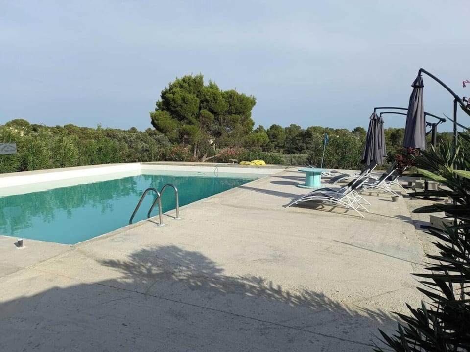 Swimming pool view
