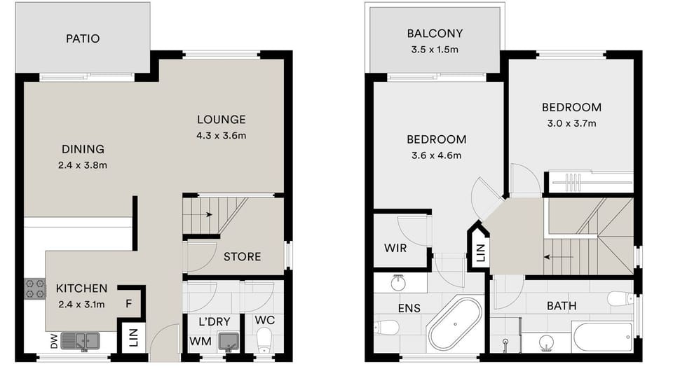 Layout